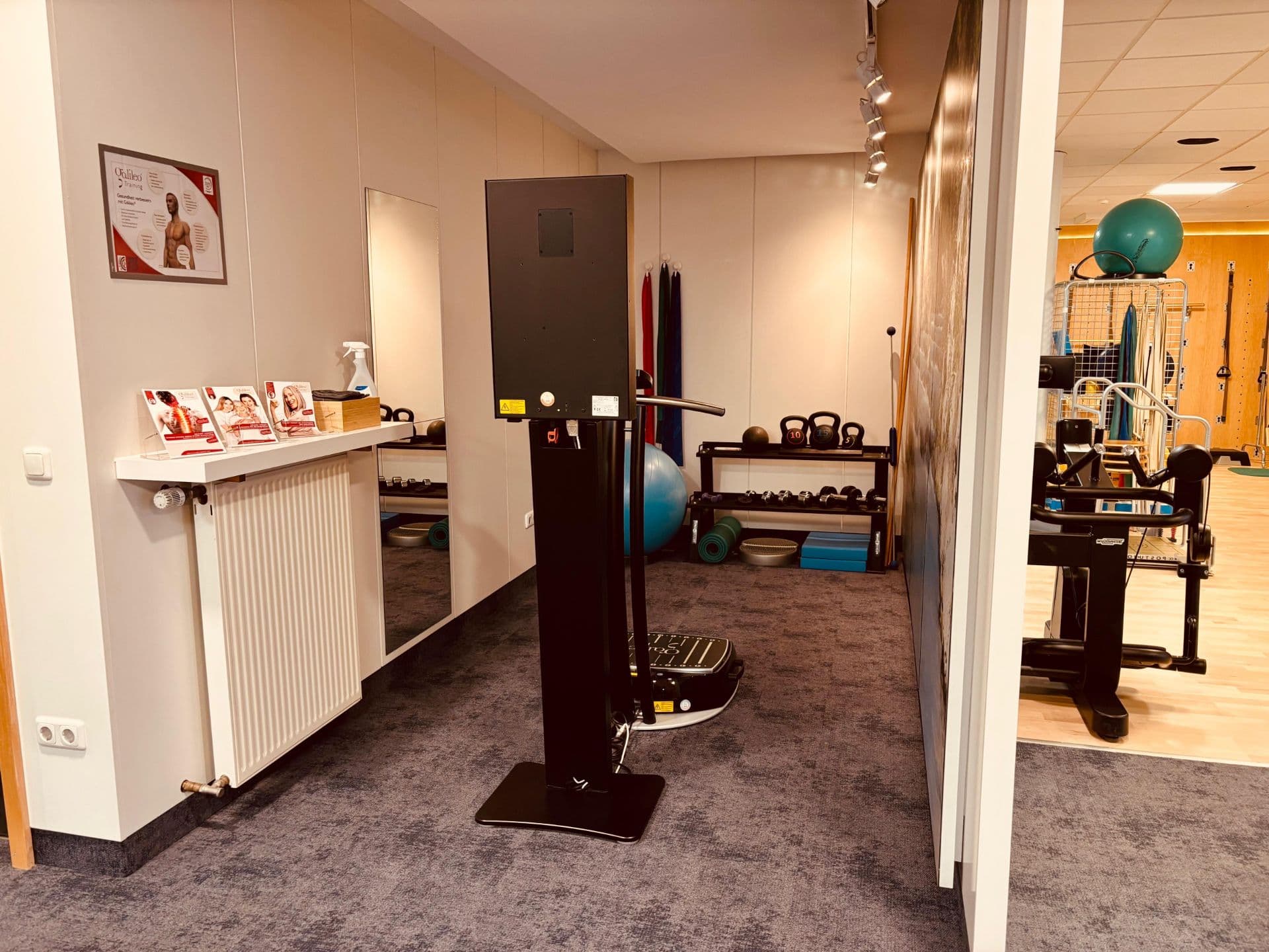 Galileo Vibrationstraining - Bild 2